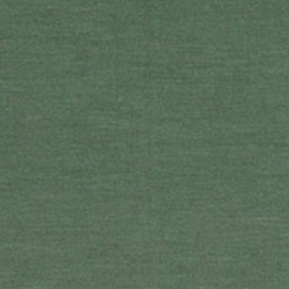 MULTI LOOP  vintage green