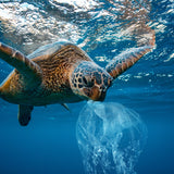 Netzbeutel Turtle Bag / viele Farben